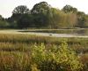 SZA 2024 Stiltewandeling Mosbulten